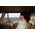 Sony Alpha ZV-E10 II + 16-50 mm f/3.5-5.6 OSS II Power Zoom Kit Lens