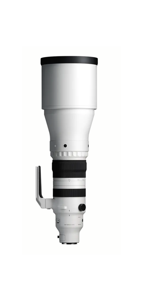 Sigma 300-600mm F4 DG OS (Sony E-mount)