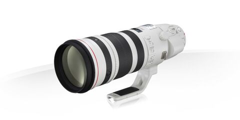 Canon EF 200-400mm f/4L IS USM Extender 1.4x