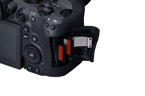 Canon EOS R6 Mark II + RF 24-105mm f/4 L IS USM