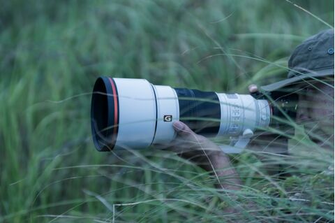 Sony FE 300mm F2.8 GM OSS