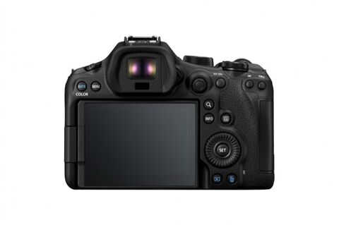Canon EOS R6 Mark III + RF 24-105mm f/4-7.1 IS STM