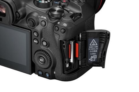 Canon EOS R6 Mark III + RF 24-105mm f/4-7.1 IS STM