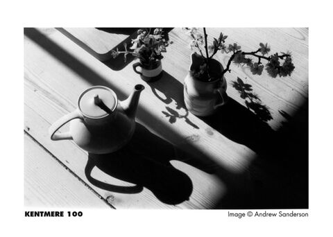 Harman Kentmere 100 35mm 36 Exposures