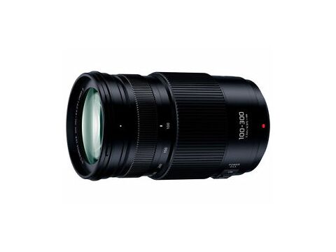 Panasonic H-FSA 100-300mm F4.0-5.6 II POWER O.I.S.