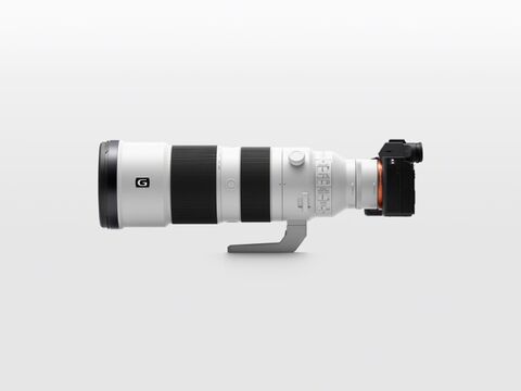 Sony FE 200-600mm F5.6-6.3 G OSS