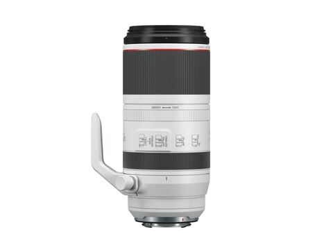 Canon RF 100-500mm F4.5-7.1L IS USM