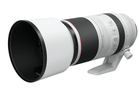 Canon RF 100-500mm F4.5-7.1L IS USM