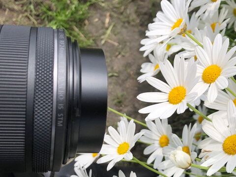 Canon RF 24mm F1.8 MACRO IS STM