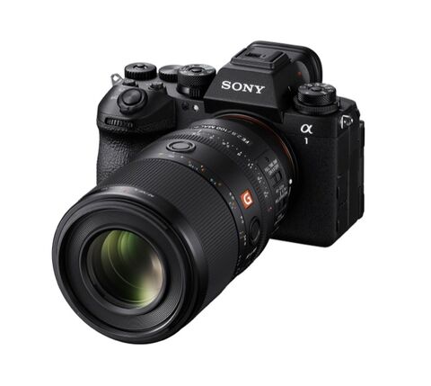 Sony FE 100mm F2.8 Macro GM OSS