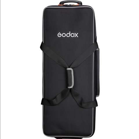 Godox Litemons LA300R K2 Kit
