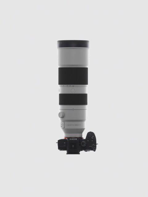 Sony FE 200-600mm F5.6-6.3 G OSS