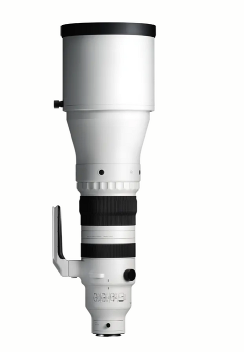 Sigma 300-600mm F4 DG OS (Sony E-mount)