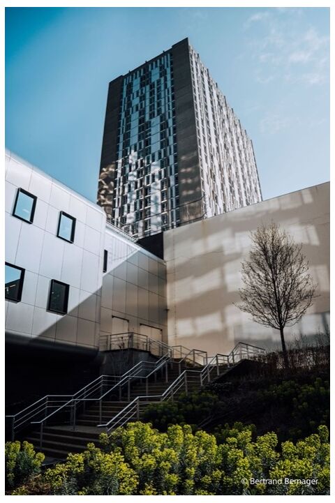 Sony FE 24mm F2.8 G