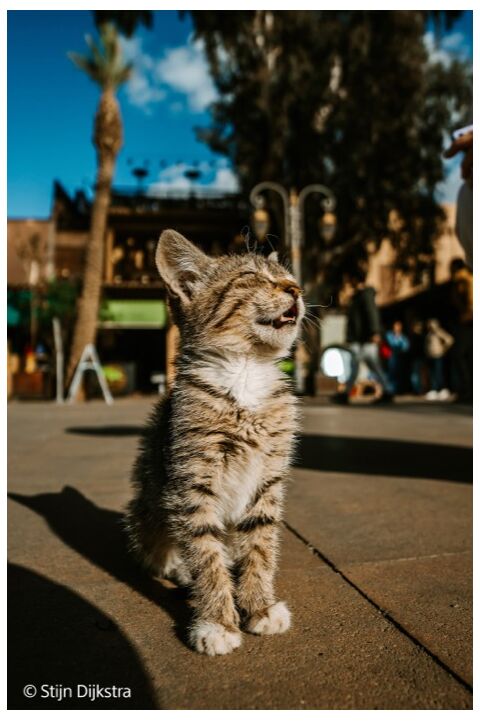 Sony FE 16mm F1.8 G