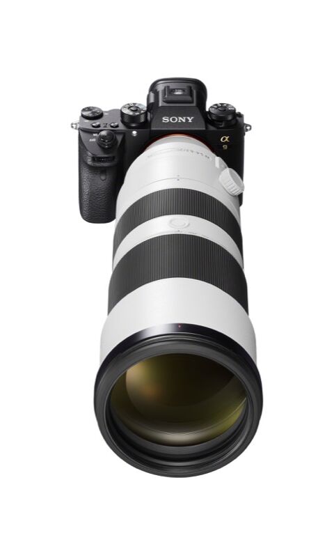 Sony FE 200-600mm F5.6-6.3 G OSS