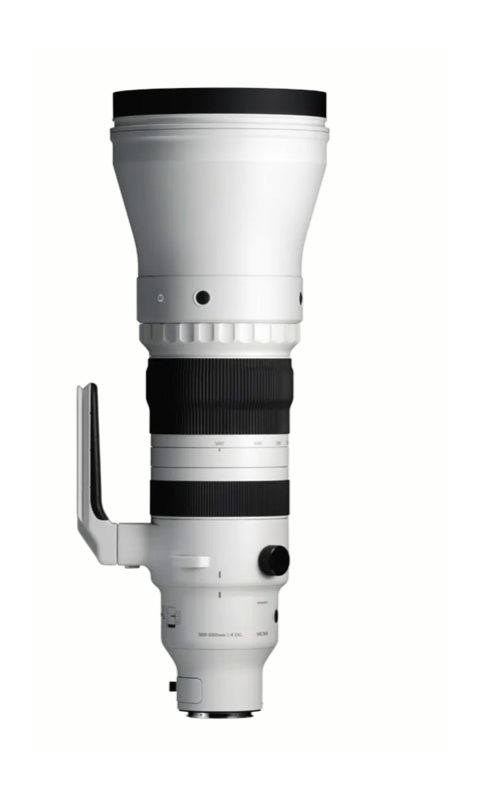 Sigma 300-600mm F4 DG OS (L-Mount)