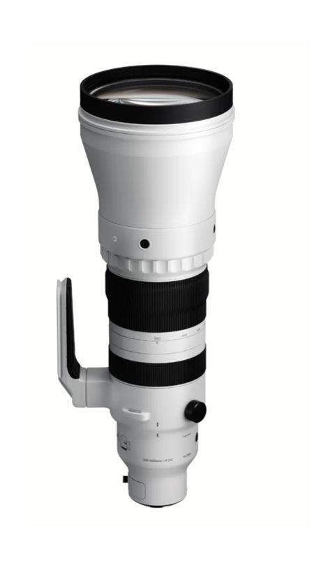 Sigma 300-600mm F4 DG OS (Sony E-mount)