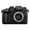 Panasonic LUMIX GH5s Body