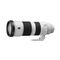 Sony FE 200-600mm F5.6-6.3 G OSS