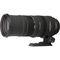 Sigma 150-500mm f/5-6.3 APO HSM (Nikon Fit)