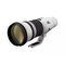 Canon EF 500mm f/4L IS II USM