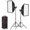 Godox SL-100D Video 2-Light Kit