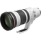 Canon RF 100-300mm F2.8L IS USM