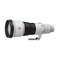 Sony FE 600mm F4 GM OSS