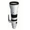 Sigma 300-600mm F4 DG OS (Sony E-mount)
