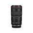 Canon RF 100mm F2.8L MACRO IS USM