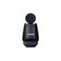 Canon Multi-Function Shoe Directional Stereo Microphone DM-E1D