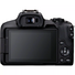 Canon EOS R50 + RF-S 18-45mm F4.5-6.3 IS STM + RF-S 55-210mm IS STM