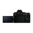 Panasonic LUMIX S5II