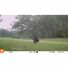 Bushnell CORE™ S-4K NO GLOW TRAIL CAMERA