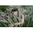 Sony Alpha 7CR | Full-frame Mirrorless Interchangeable-lens Camera