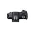 Canon EOS R100 + RF-S 18-45mm F4.5-6.3 IS STM + RF-S 55-210mm IS STM