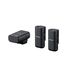 Sony ECM-W3 Wireless Microphone System