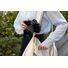 Nikon Z 35mm f/1.4