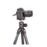Leofoto Ranger LS-254C + Ballhead LH-30