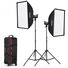 Godox SL-100D Video 2-Light Kit