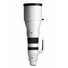 Sigma 300-600mm F4 DG OS (L-Mount)