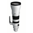 Sigma 300-600mm F4 DG OS (L-Mount)