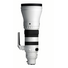 Sigma 300-600mm F4 DG OS (L-Mount)