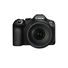 Canon EOS R6 Mark III + RF 24-105mm f/4 L IS USM
