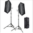 Godox Litemons LA150R K2 Kit