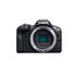 Canon EOS R100 Mirrorless Camera + RF-S 18-45mm F4.5-6.3 IS STM Lens + RF 75-300mm F4-5.6 Lens