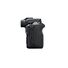 Canon EOS R100 Mirrorless Camera + RF-S 18-45mm F4.5-6.3 IS STM Lens + RF 75-300mm F4-5.6 Lens